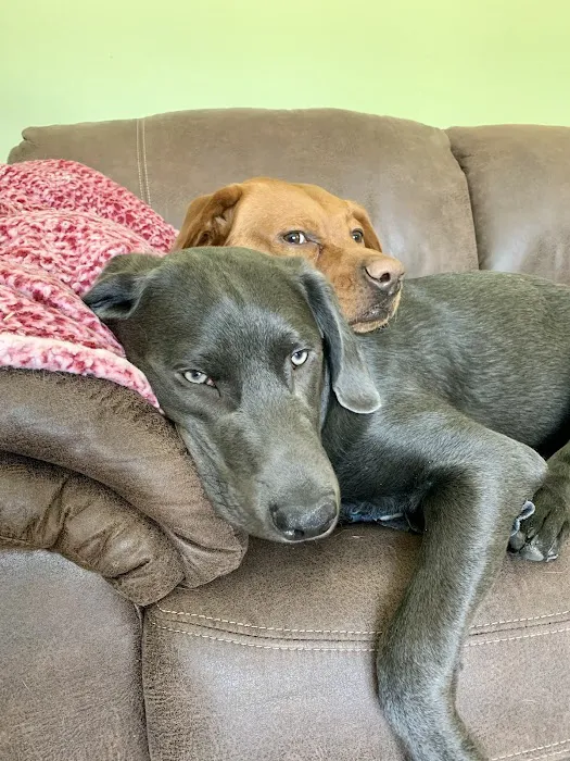 Omro Animal Hospital Picture 4