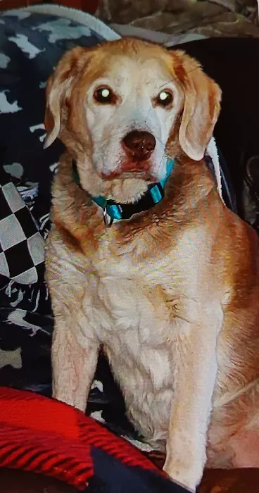 Omro Animal Hospital Picture 6