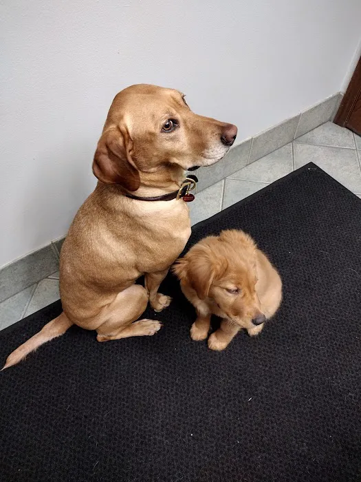 Omro Animal Hospital Picture 8