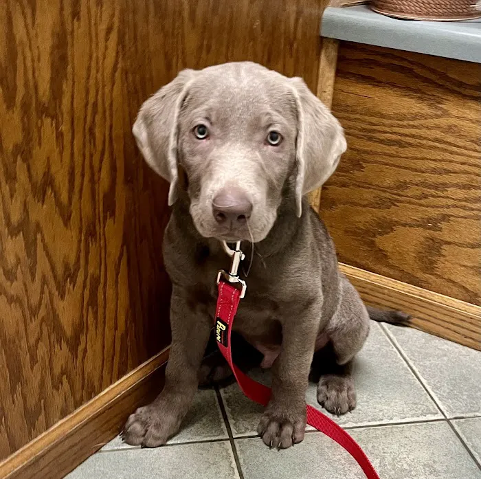 Omro Animal Hospital Picture 10