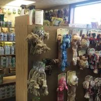 Markesan Veterinary Clinic ico
