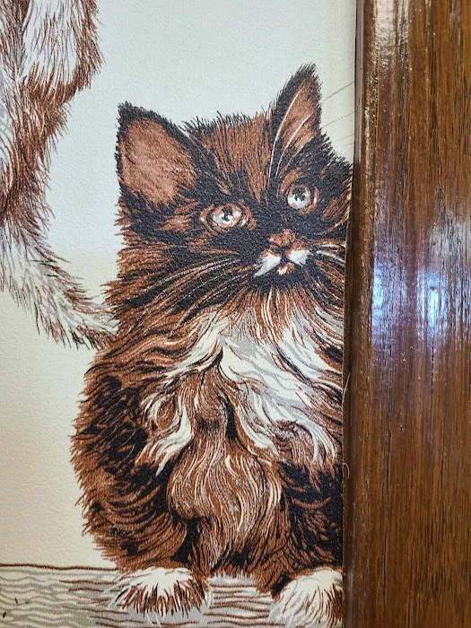 Markesan Veterinary Clinic Picture 6