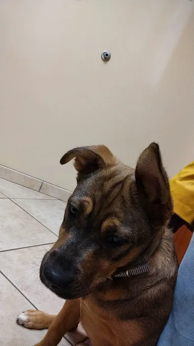 Animal Hospital of Oshkosh Picture 7