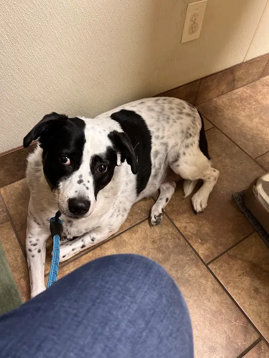 Portage Veterinary Clinic Picture 5