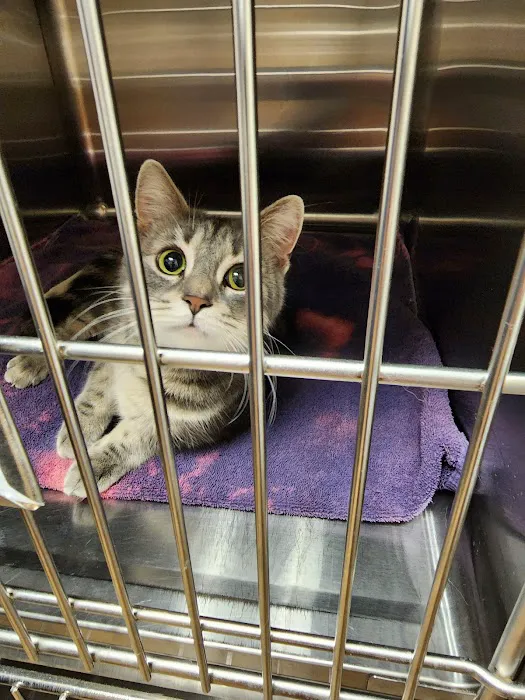 Portage Veterinary Clinic Picture 8