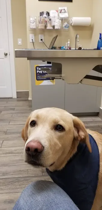 Pardeeville Veterinary Hospital Picture 1
