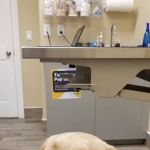 Pardeeville Veterinary Hospital