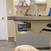 Pardeeville Veterinary Hospital ico