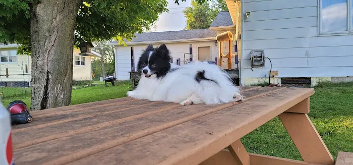 Pardeeville Veterinary Hospital Picture 5