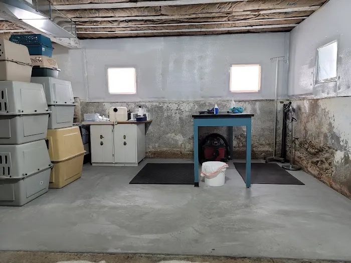 New Horizons Veterinary House Calls Picture 4