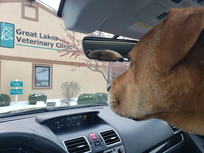 Great Lakes Veterinary Clinic: Randy Van Maanen, DVM Picture 2