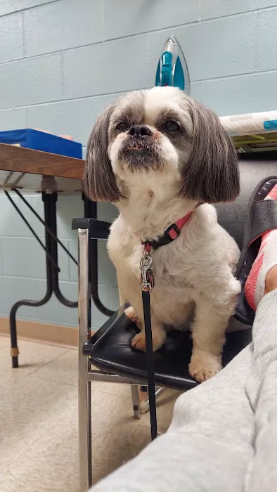 Great Lakes Veterinary Clinic Picture 3