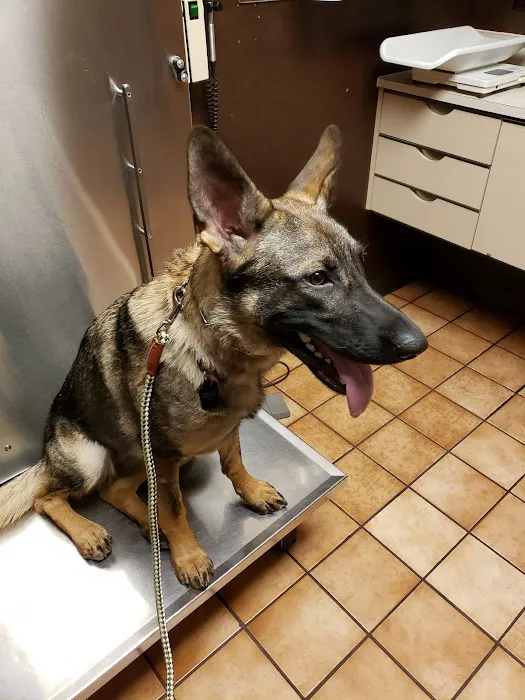 Lakeside Animal Hospital Picture 2