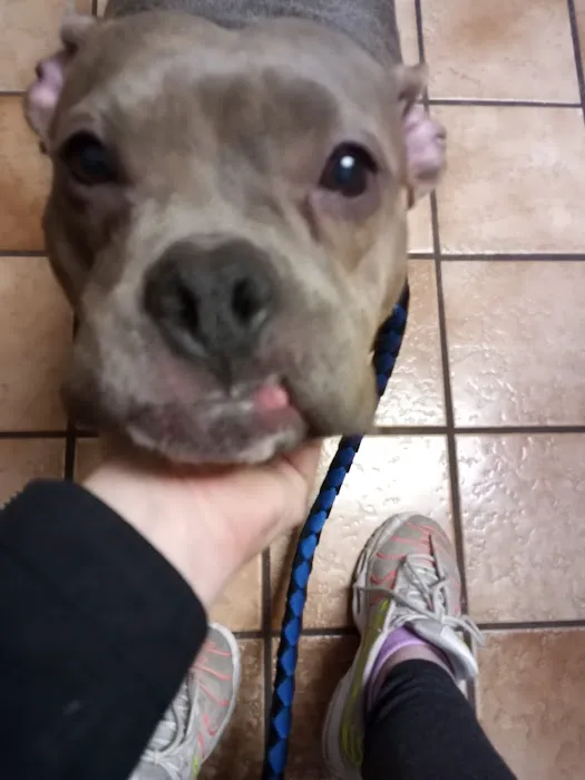 Lakeside Animal Hospital Picture 7