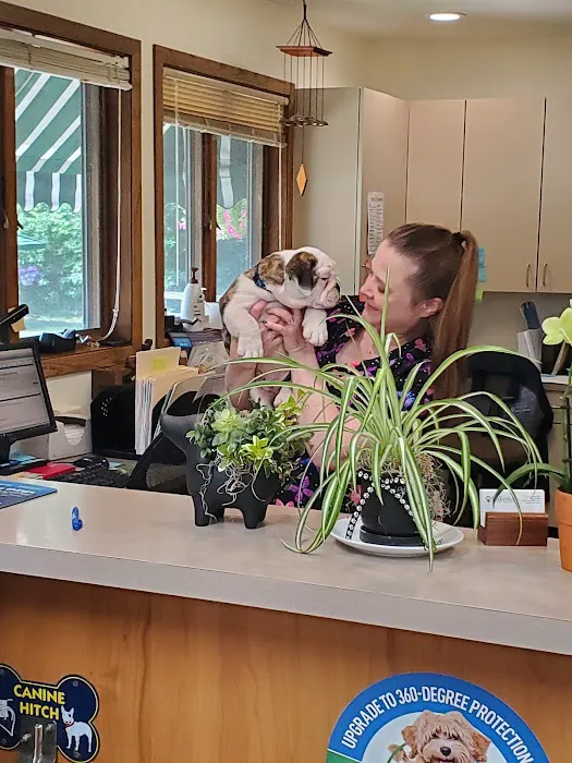 Lakeside Animal Hospital Picture 6