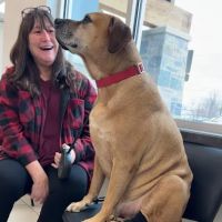 Valley Veterinary Hospital ico