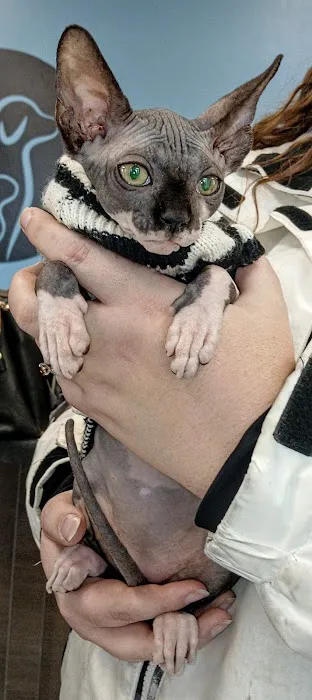 Valley Veterinary Hospital Picture 3