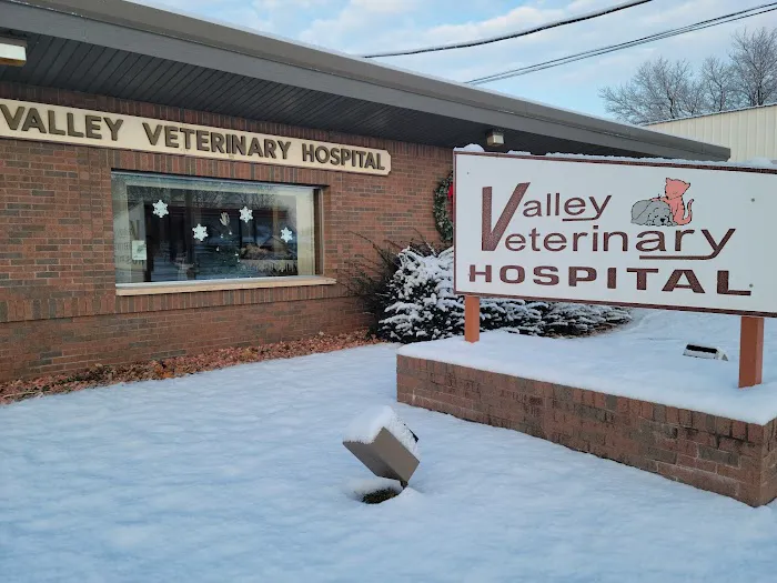 Valley Veterinary Hospital Picture 7