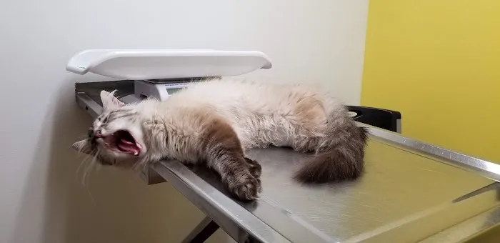 Badgerland Veterinary Clinic Picture 9