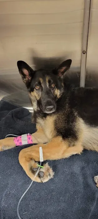 Pine River Veterinary Clinic Picture 5