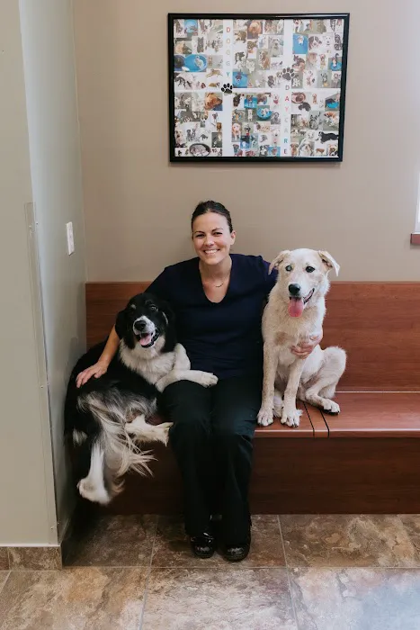 Pine River Veterinary Clinic Picture 6