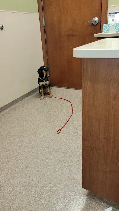 Pine River Veterinary Clinic Picture 8
