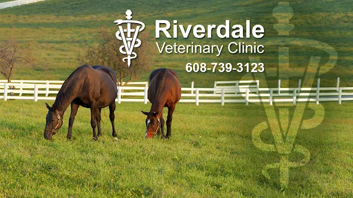 Riverdale Veterinary Clinic Picture 1