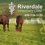 Riverdale Veterinary Clinic