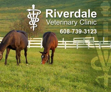 Riverdale Veterinary Clinic