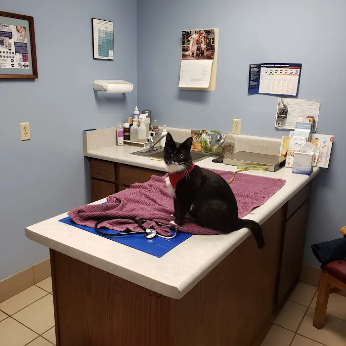 Riverdale Veterinary Clinic Picture 3