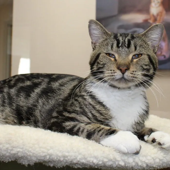 Hill-Dale Veterinary Care Picture 2