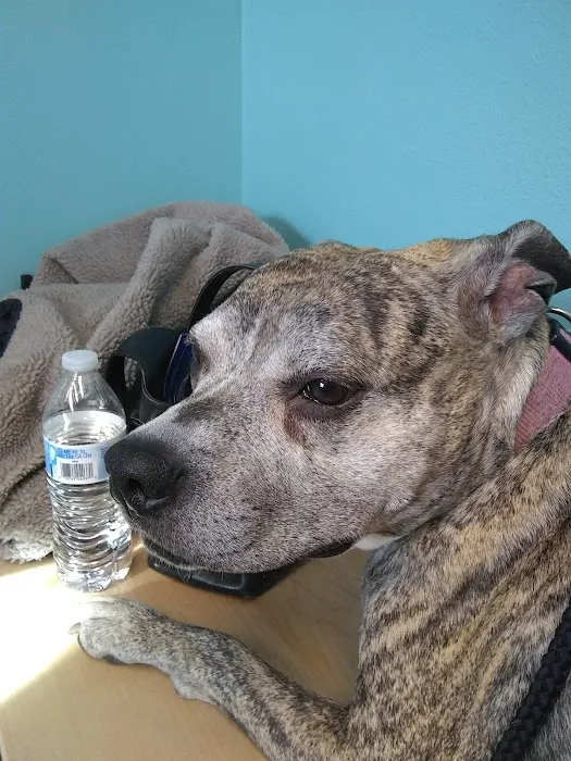 Hill-Dale Veterinary Care Picture 5