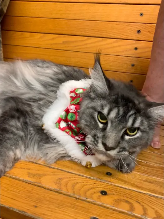 Hill-Dale Veterinary Care Picture 6