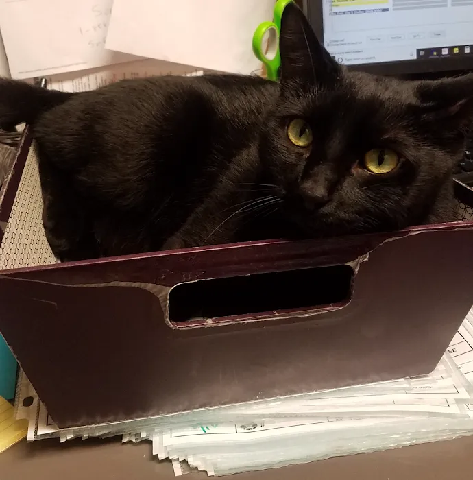 Hill-Dale Veterinary Care Picture 8