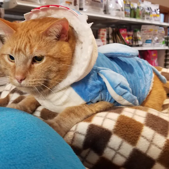 Hill-Dale Veterinary Care Picture 9