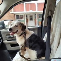 Baraboo Valley Veterinary Clinic ico
