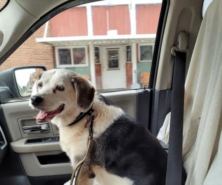Baraboo Valley Veterinary Clinic