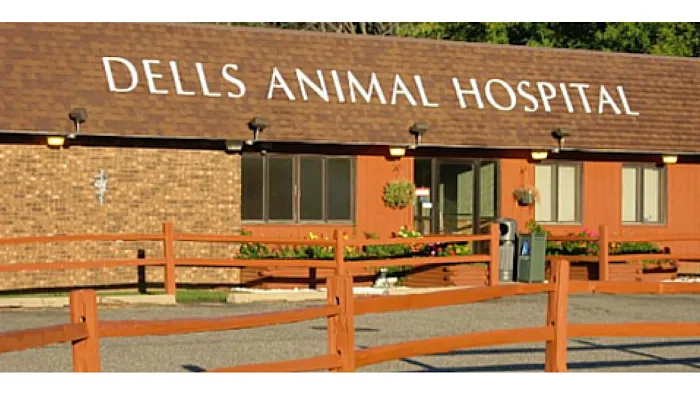 Dells Animal Hospital Picture 10