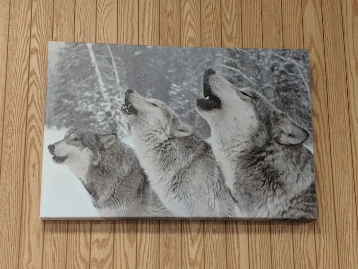 Dells Animal Hospital Picture 8