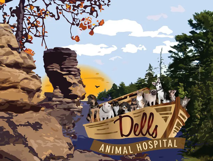 Dells Animal Hospital Picture 9