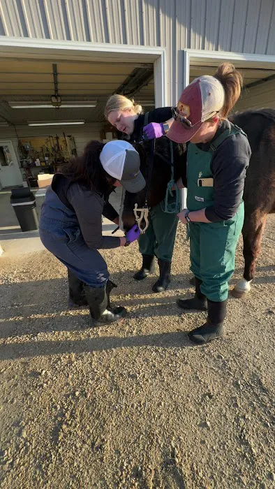 Edgewood Veterinary Clinic Picture 3