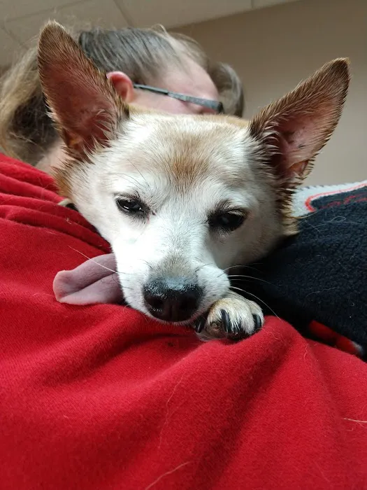 Lee Veterinary Clinic Picture 5