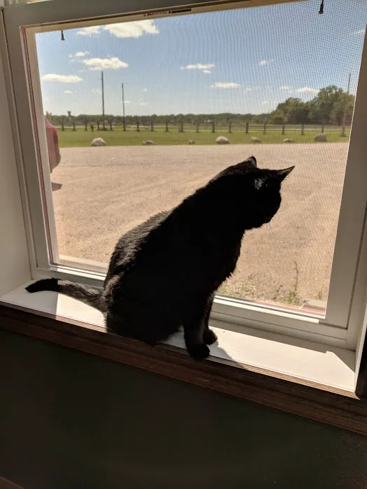 Lee Veterinary Clinic Picture 3