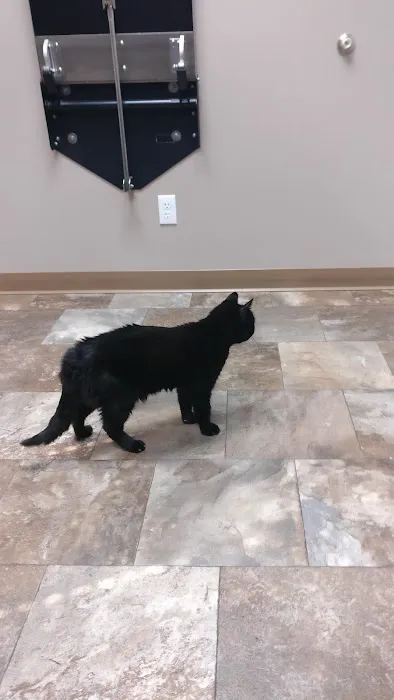 Lee Veterinary Clinic Picture 2