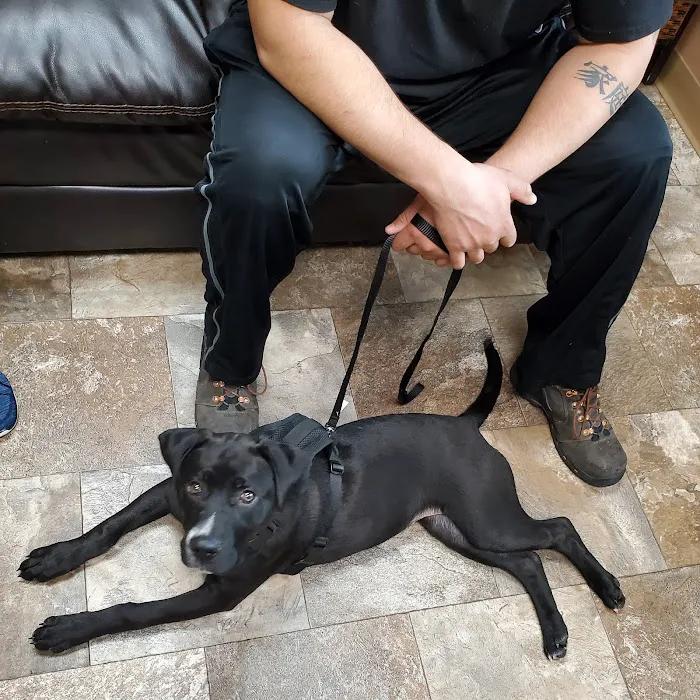 Lee Veterinary Clinic Picture 4
