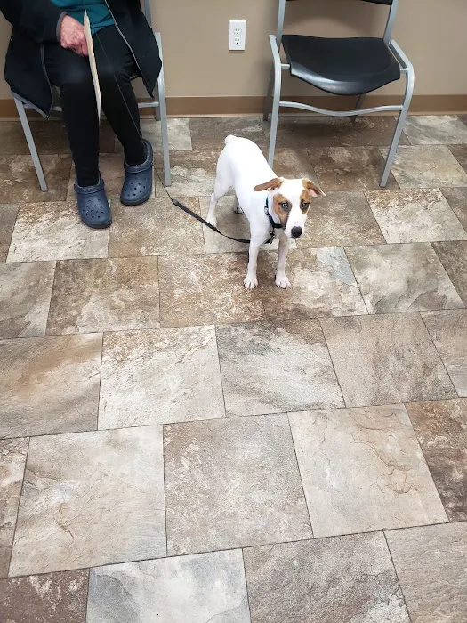 Lee Veterinary Clinic Picture 8