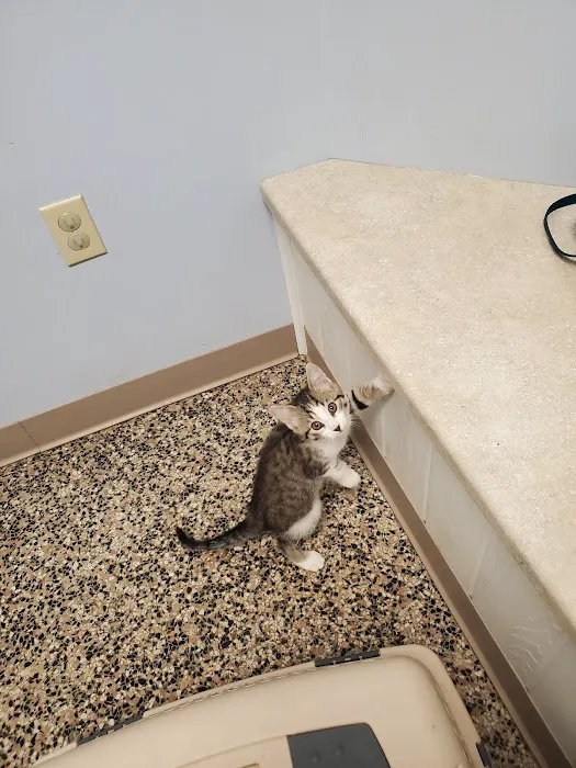 Lake Michigan Animal Hospital Picture 1