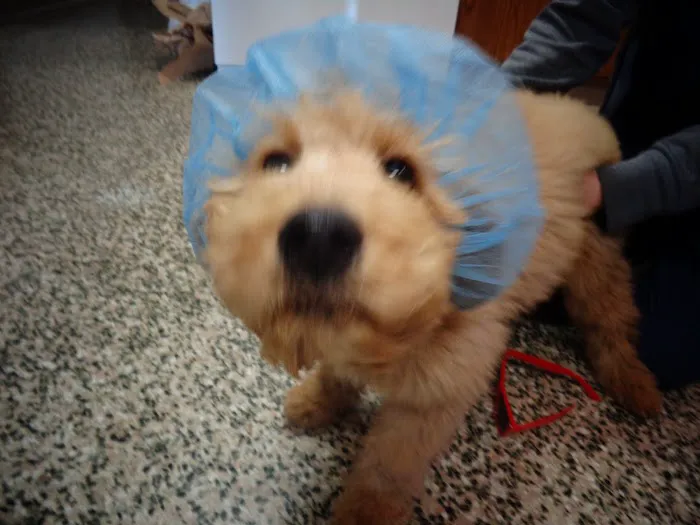Lake Michigan Animal Hospital Picture 9