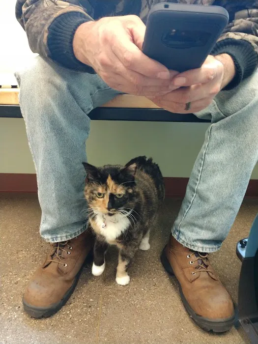 VCA Allendale Animal Hospital Picture 3