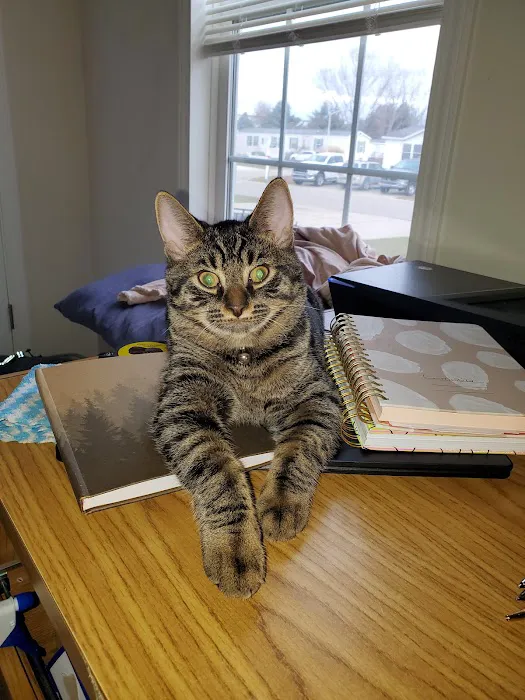 VCA Allendale Animal Hospital Picture 2